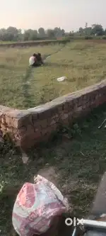 Harhua Duniyapur