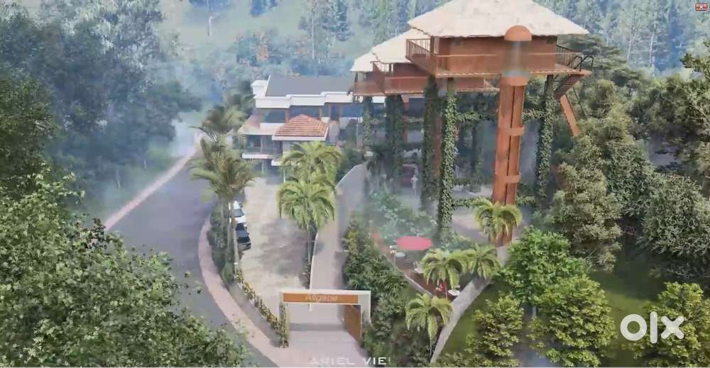 Resorts in  Munnar with Tree House