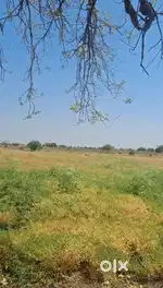 16 ACRES OF PREMIUM AGRICULTURAL LAND FOR SALE**