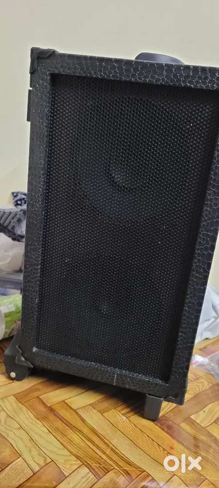 Powerful DJ Trolley Speaker  Wireless Mic Rechargeable Battery Remote