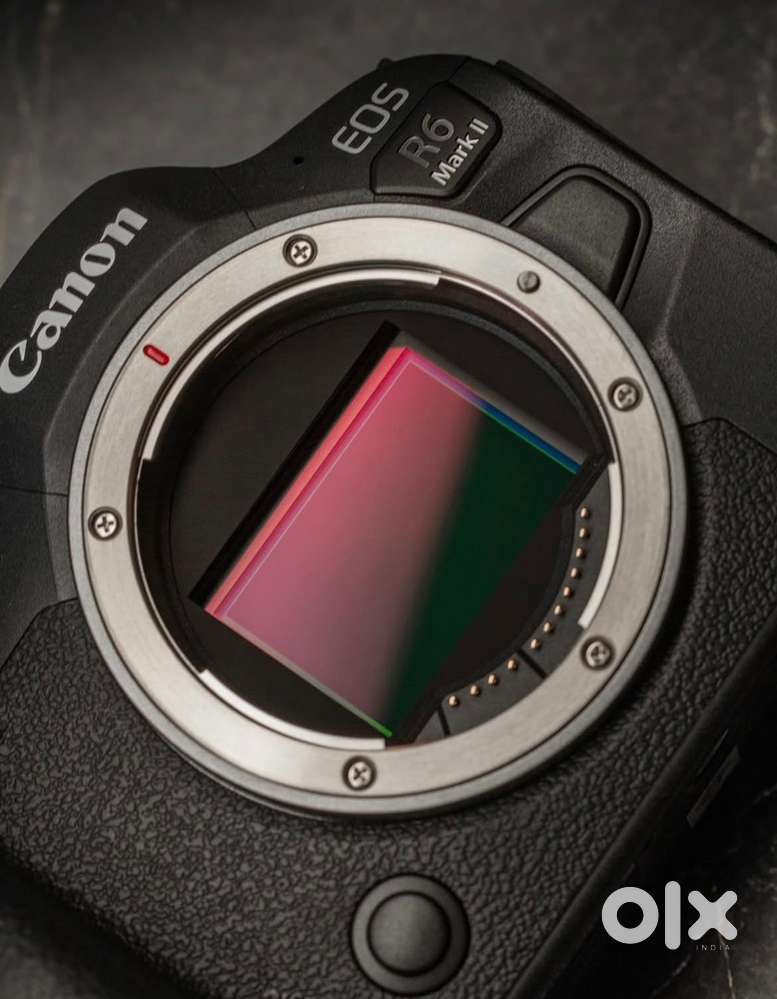 Canon EOS R6 Mark II – 4 Months Old – Excellent Condition