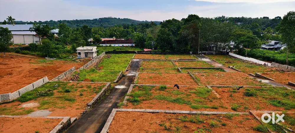 Affordable gated villa plots in Kizhakambalam near Muruvilangu