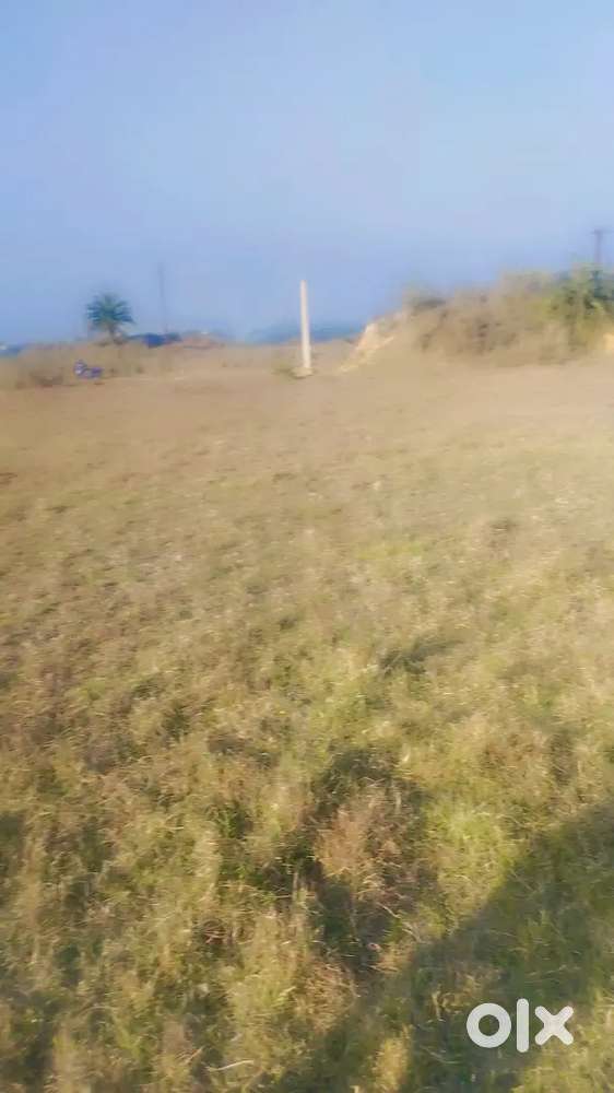 Urgent sale cnt free 3L/kattha