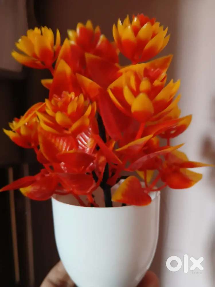 Decoration items brand new