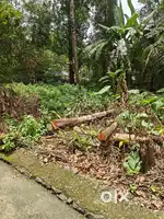 8 Cent Residential Land for Sale at Thandekkad – ₹3.80 Lakhs/Cent