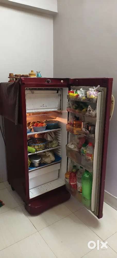 Fridge fridge