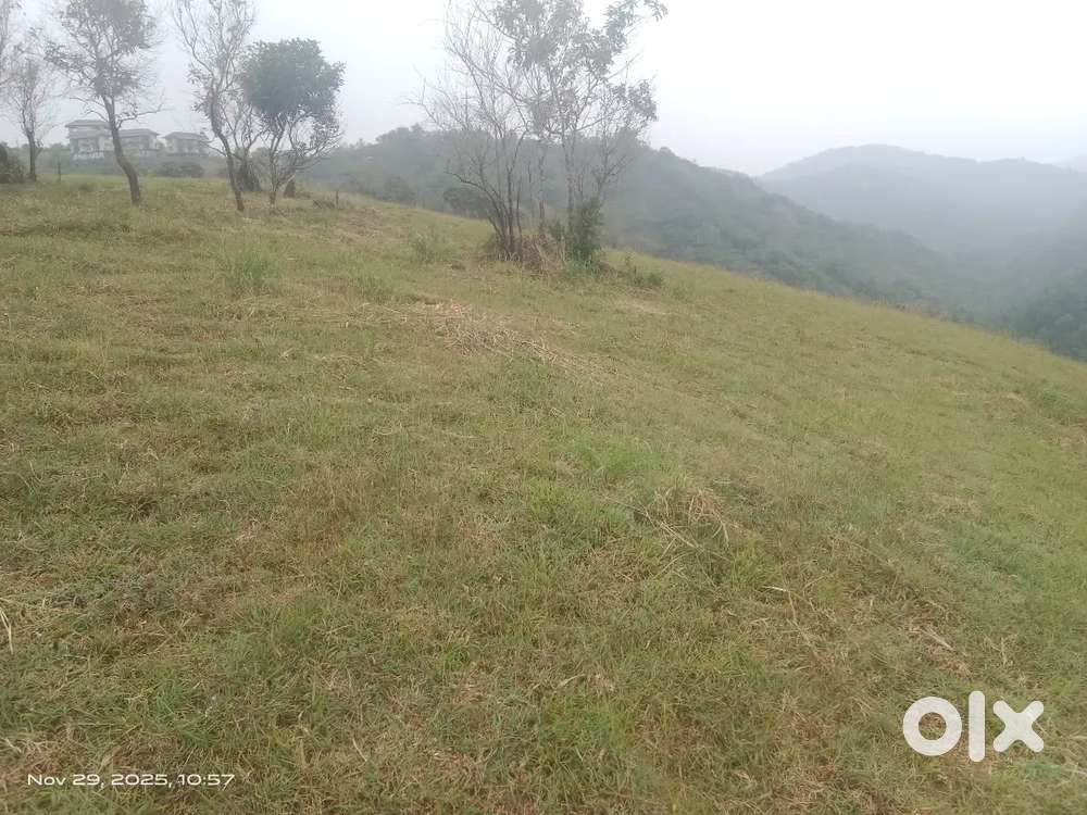 Land For sale in vagamon uluppuni