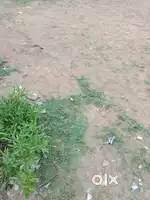 Near indana palace shikargarh jodhpur