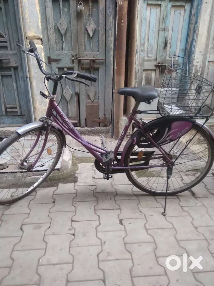 BSA Ladybird Purple Colour Cycle