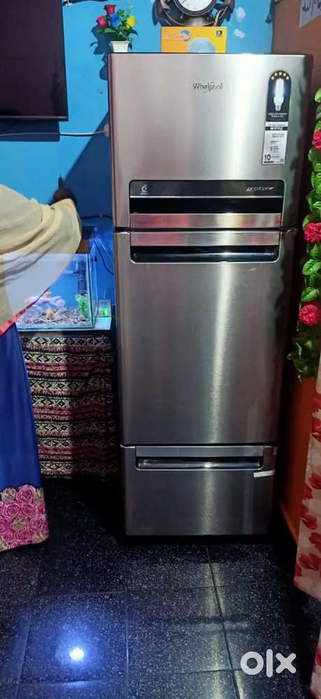 8 months old  only at 24,999