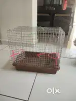 Bird Cages