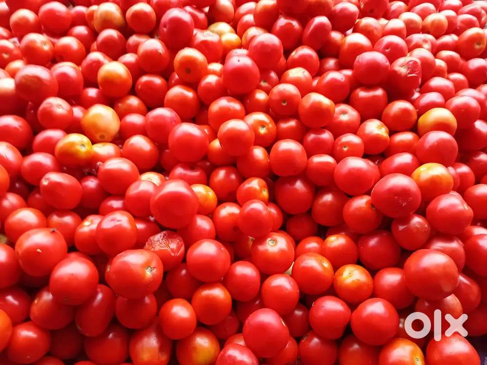 TOMATO SHOP LO WORK, BILLING AND SALES AND SHOP LO WORK,
