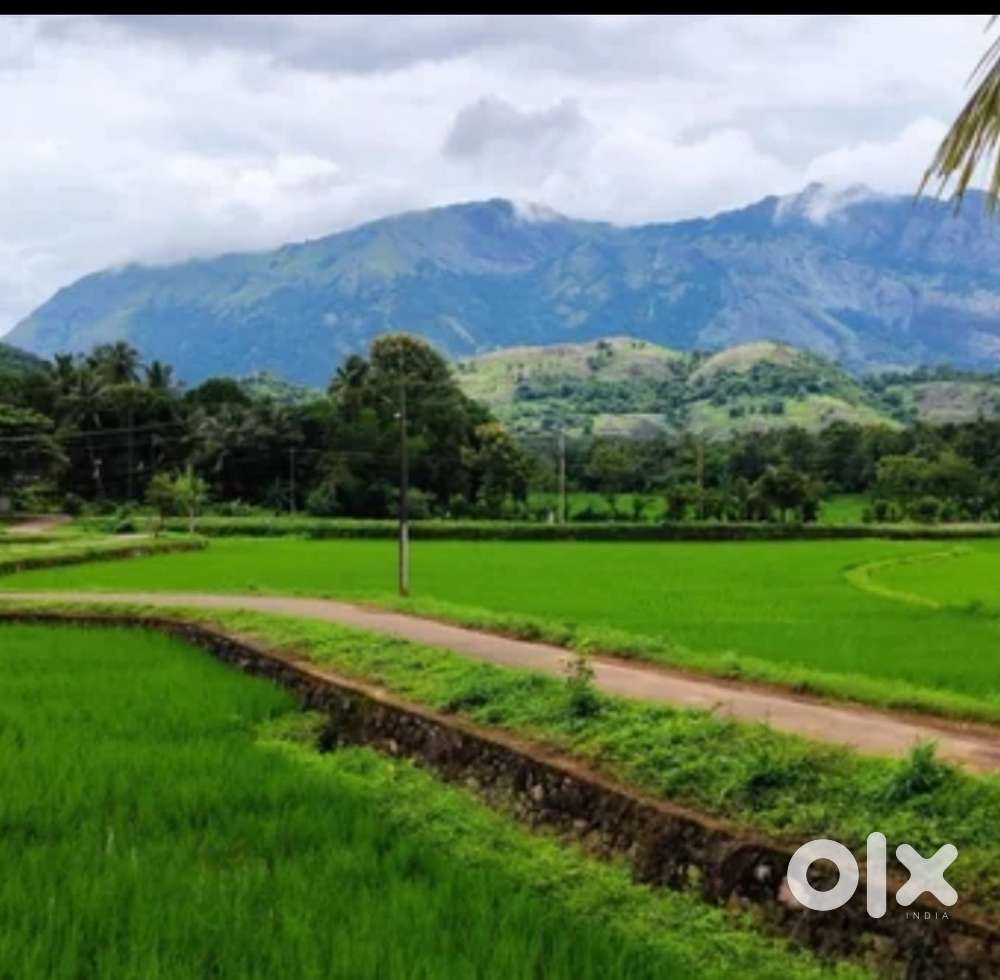 10 cent plot for sale