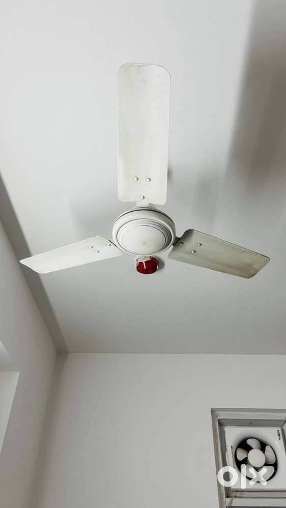 Usha Ceiling Fans (2 Pieces) – Perfect Working Condition, White Color