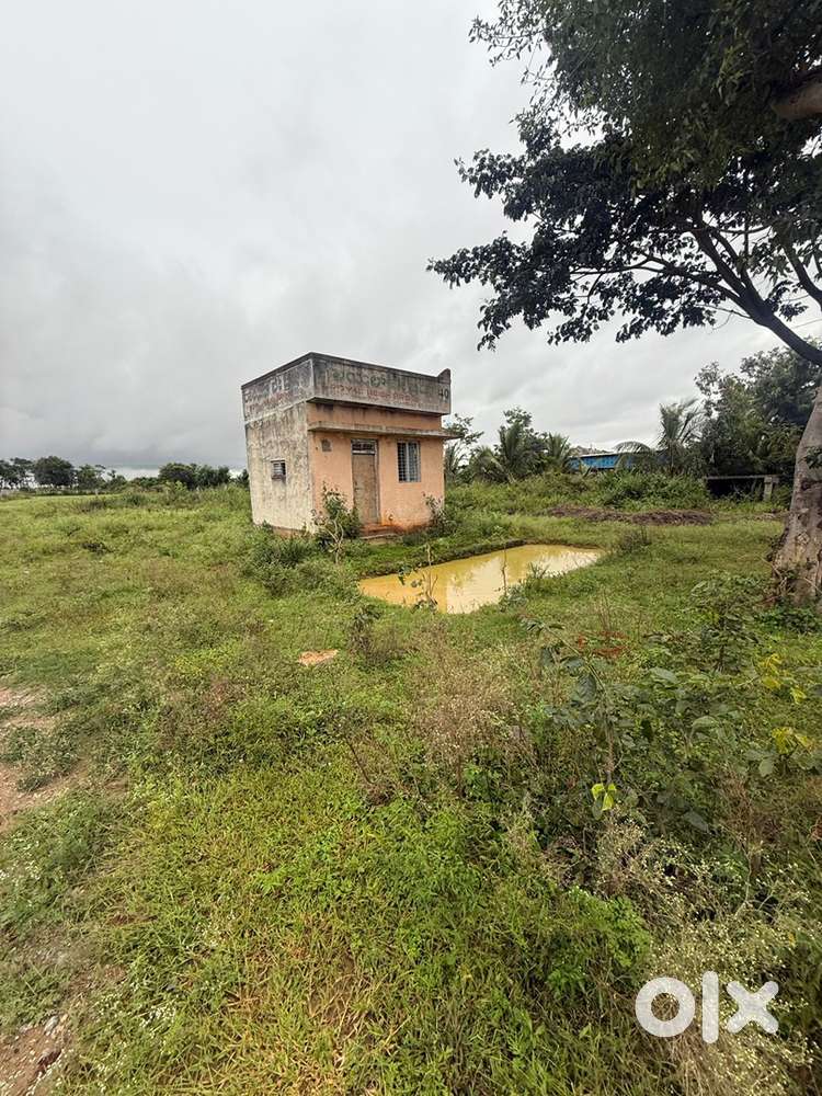 22000 sq ft 15 kunta 1/2 acre land for sale tekal kolar district next