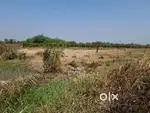 Road touch land sell olpad 48 lacks