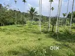2.8 ACRE MIXED CULTIVATION LAND FOR SALE IN PAYYAMPALLY