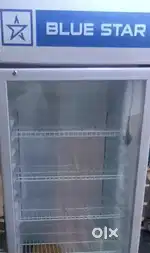 Blue Star Freezer and Blue Star Display visi cooler