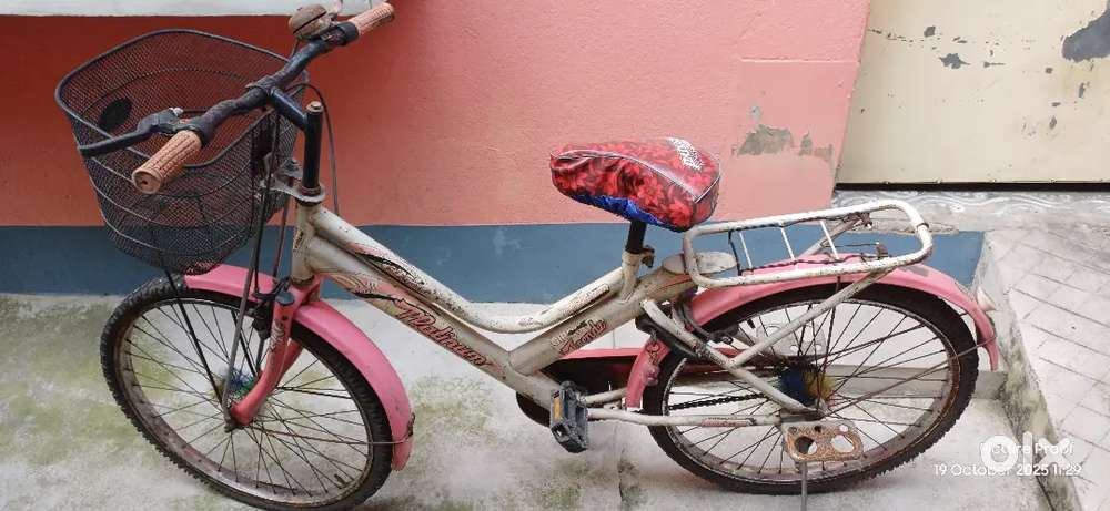 Cheap Bicycle Sk Bikes 1 year 5 month old cycle.