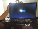 Zebster monitor 50.8CM