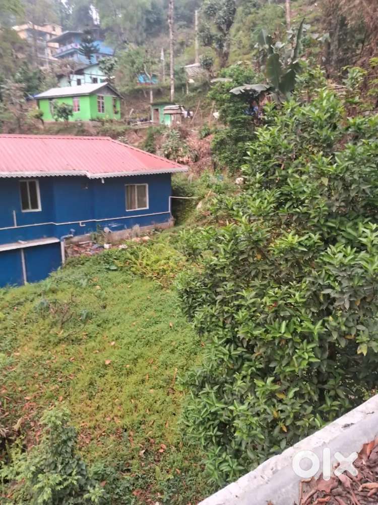 1800 sq feets.. two plots available.. total 3600 sq ft