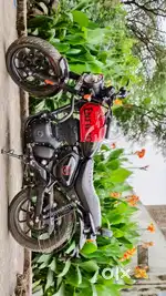 Hunter 350 Top Model