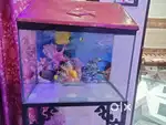 New condition Aquarium With Stand
