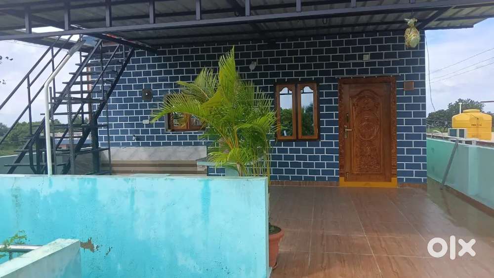 New Single bed room house for rent for families Green field venture