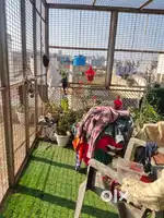 Lohe ka Jaal for Sale