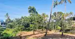 37 cents plot for sale
