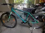 New cycle 5 month old