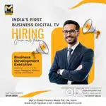 Business Development Executive
