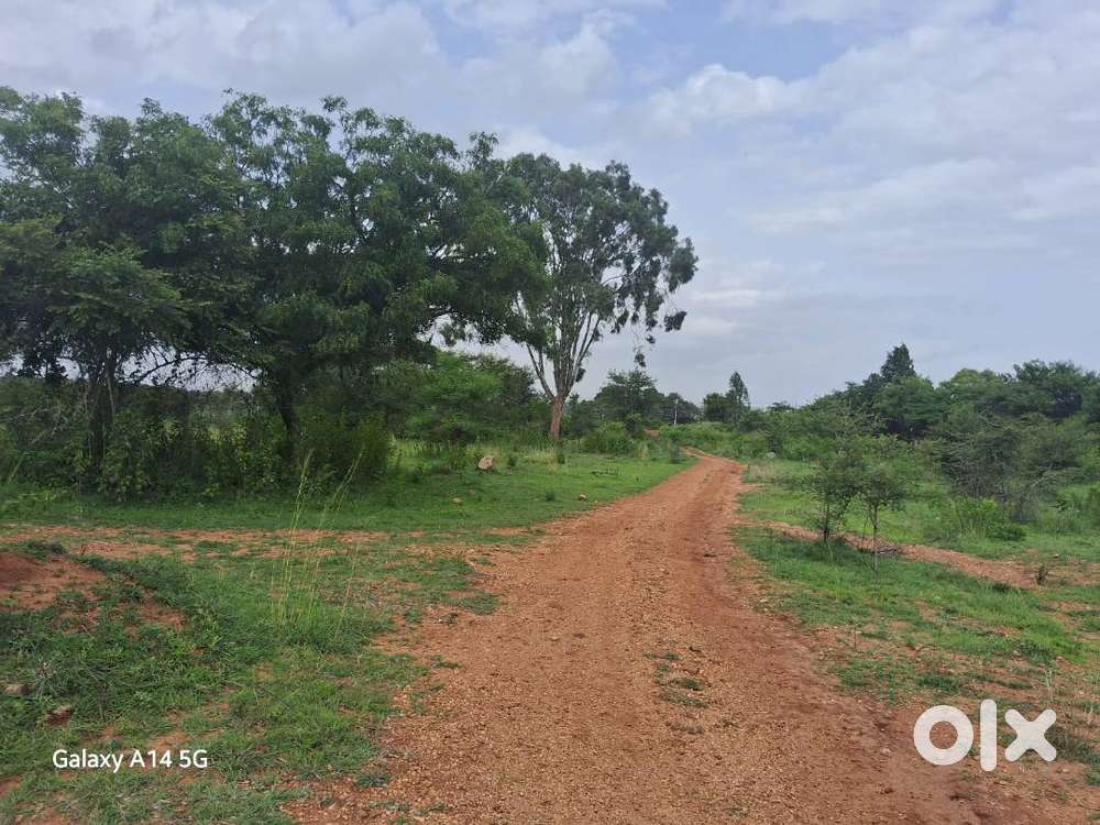 Sathibabu Thiparthi Site