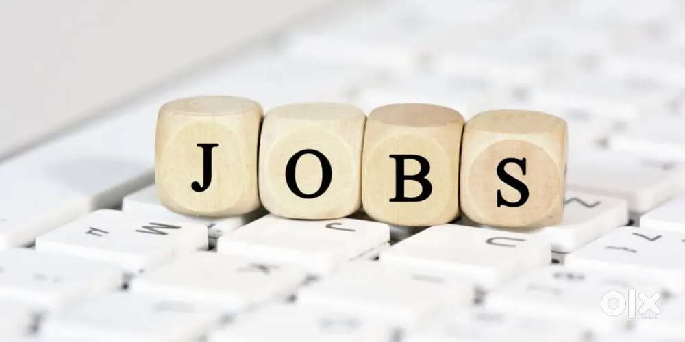 Tele Executive & Office Support Staff