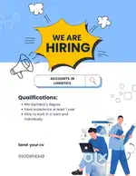 Wanted - female accountant - logistics