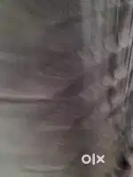 Kelvinator 10 years old running