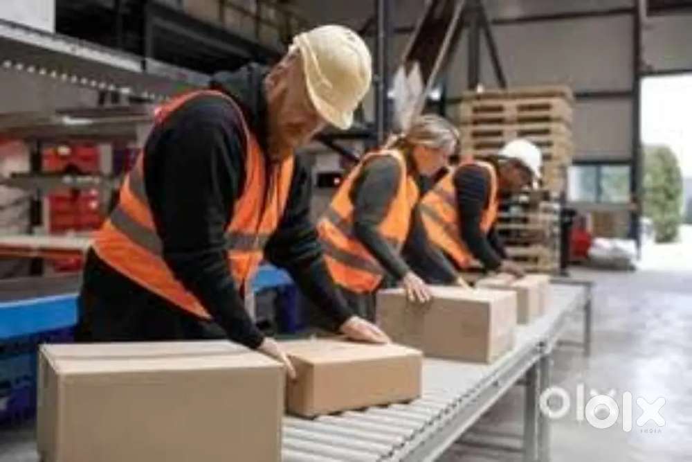 WANTED M/F WAREHOUSE PACKING HELPERS IN GROCERY DLFIRM AND FMCG GODOWN