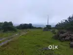 100 acre open land for sale