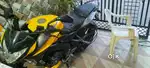 Yellow and black sporty color