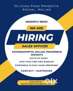 Sales executive