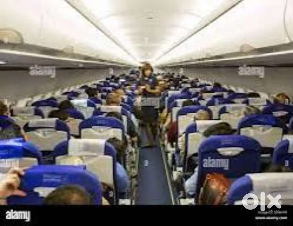 Urgent Requirement For Ground Staff Jobs In Fresher Candidate