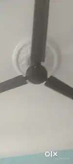 Celling fan