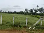 Rent for all purpose
