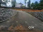 കാണക്കാരിൽ പ്ലോട്ട്കൾ