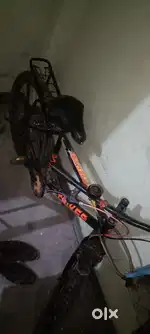 Gang company ka hai 1/year old fix rate tavi call kare