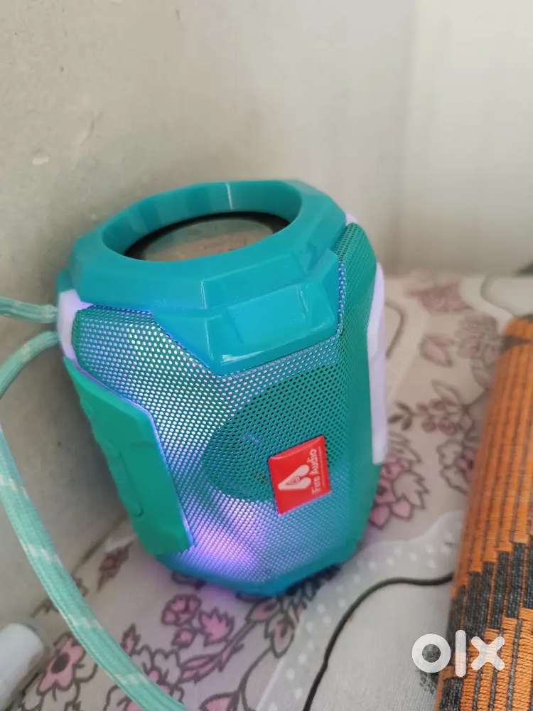 Audio speaker