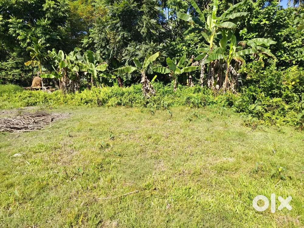 Selling the plot 12 kattah