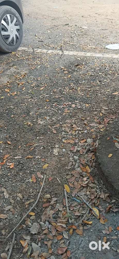 Plot for sale 10000sft converted E khata