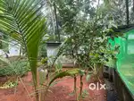 5 cent plot is available