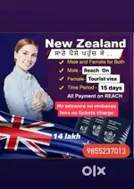 We need girls for immigration office experienced and frasher can apply